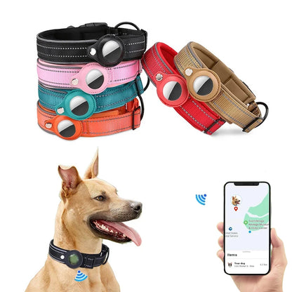 Dog collar with GPS