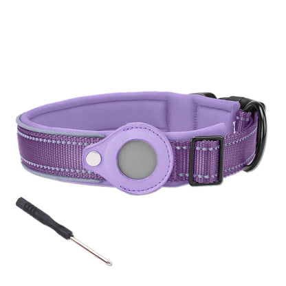 Dog collar with GPS