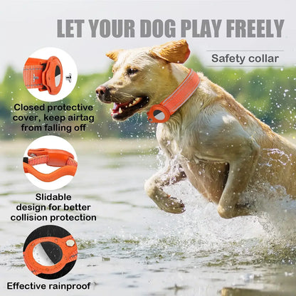 Dog collar with GPS