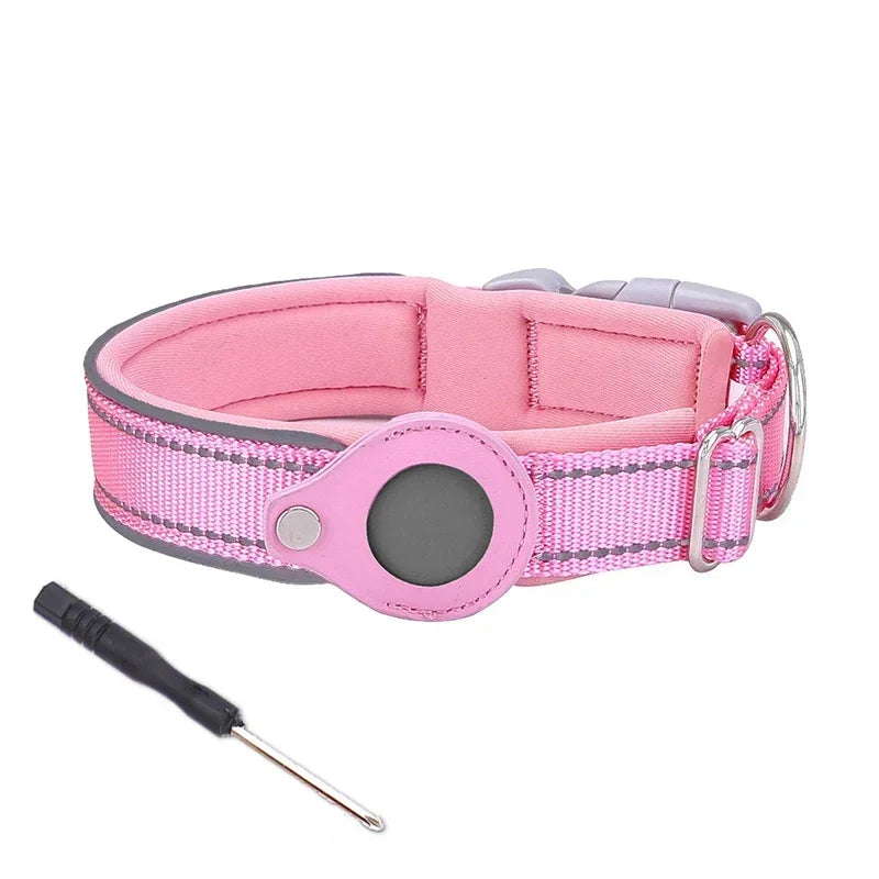 Dog collar with GPS