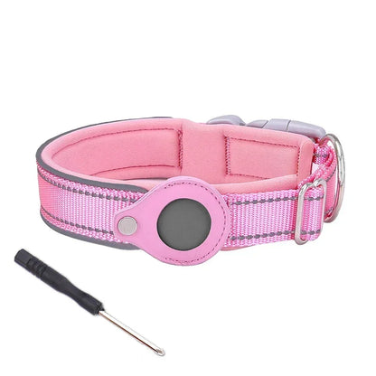 Dog collar with GPS