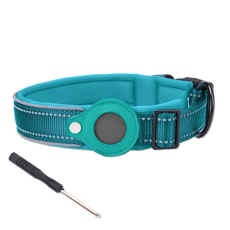 Dog collar with GPS